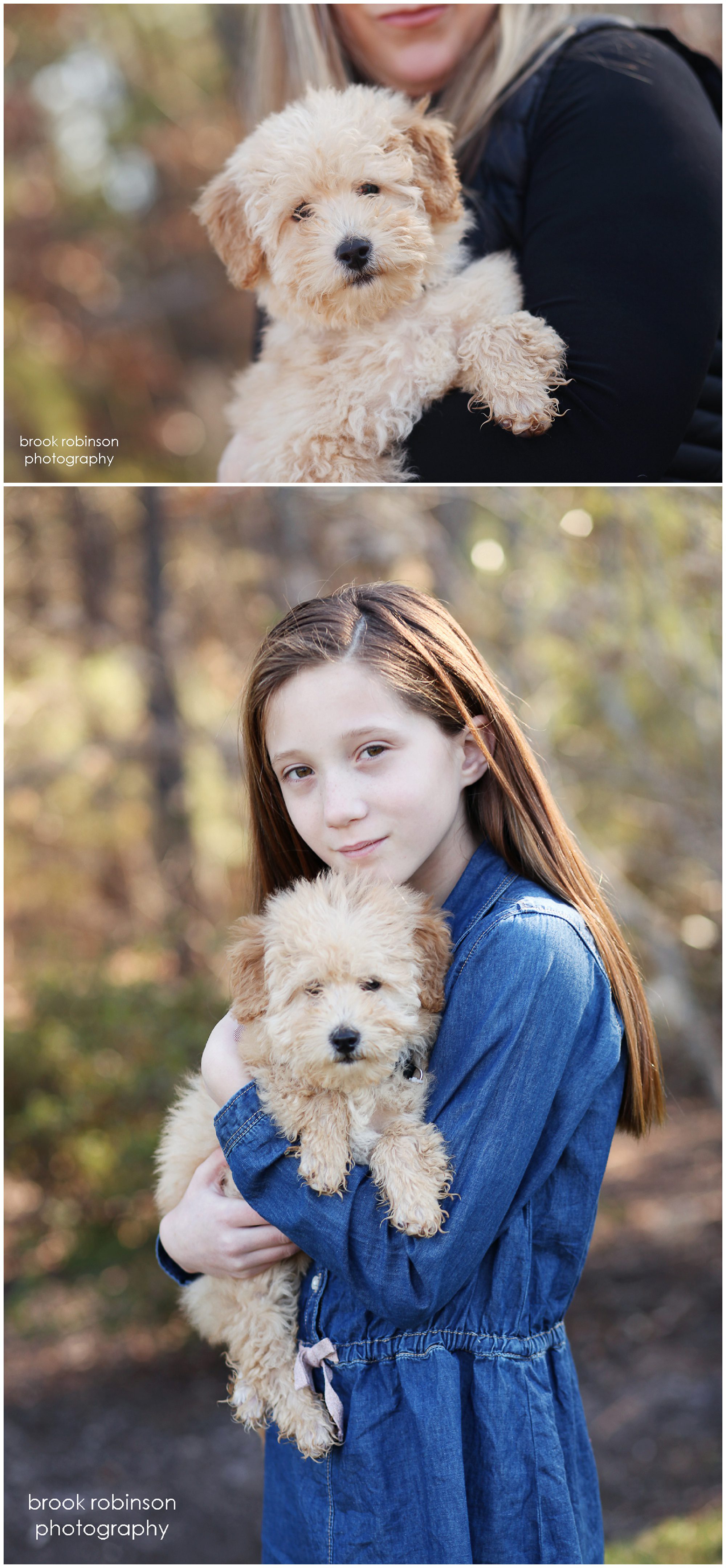 richmond glen allen family portrait photographer pet dog mini golden doodle puppy sisters