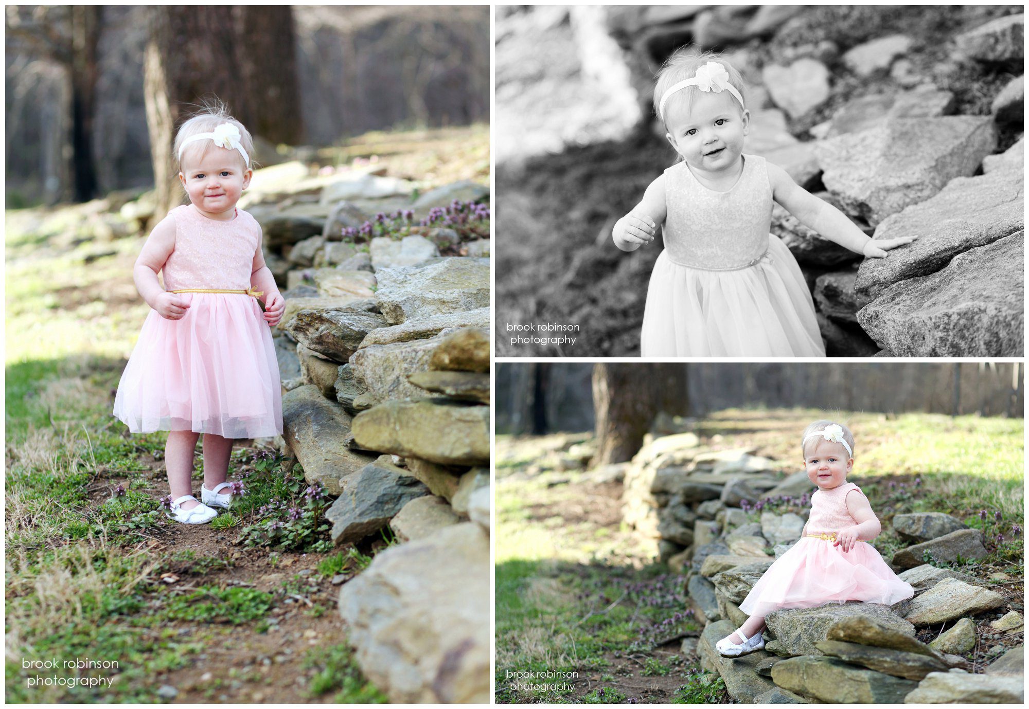 waynesboro maternity family portraits mint springs park crozet toddler