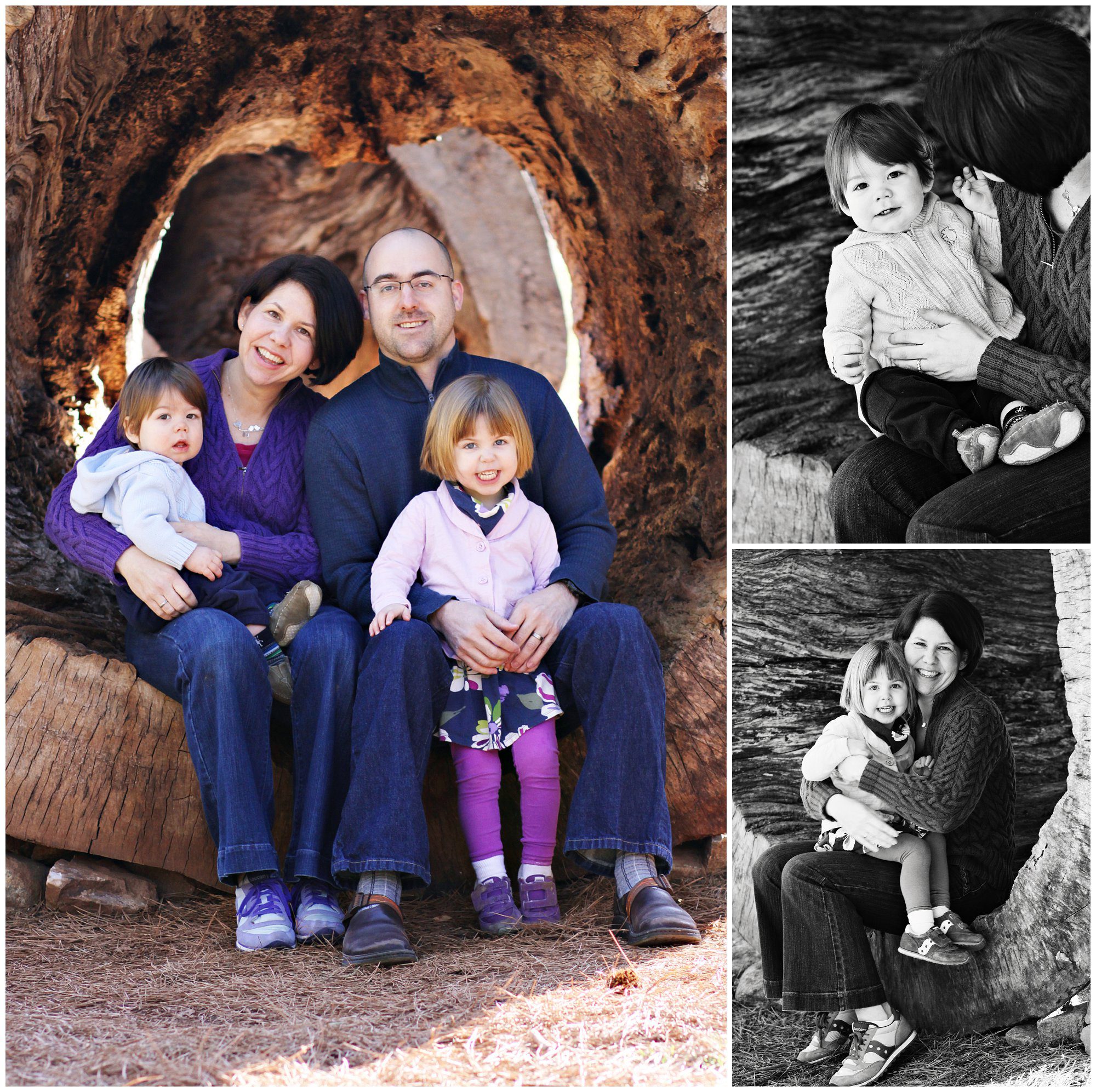 Charlottesville Family Portraits at Monticello Trail in Albemarle County richmond fluvanna natural light park spring giant tree trunk cool morning light sunrise