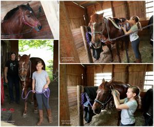 charlottesville horse photography portraits photographer horseback riding pictures lessons girls horses equine portrait pony academy alebmarle county central virginia diane hawkins