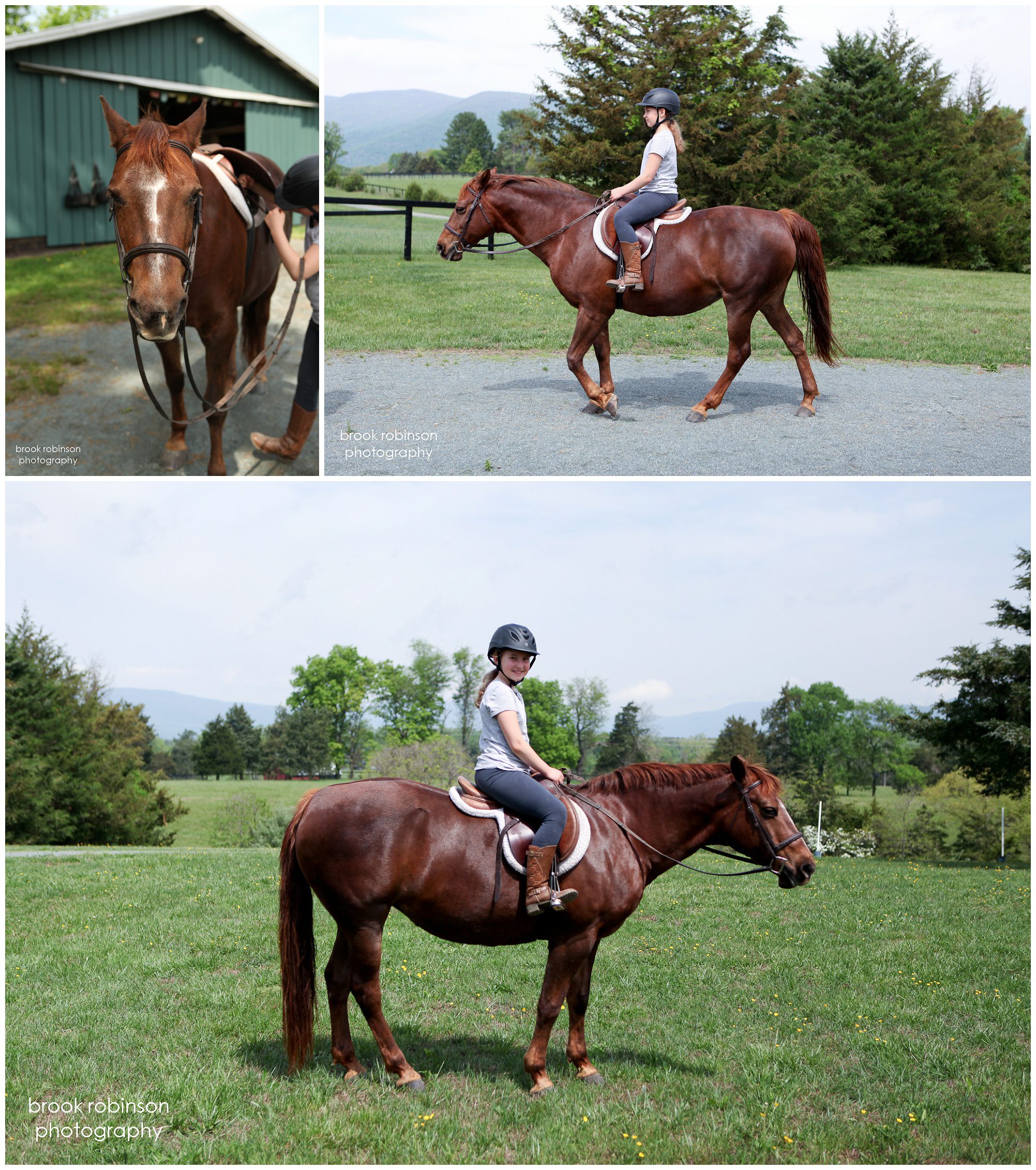 charlottesville horse photography portraits photographer horseback riding pictures lessons girls horses equine portrait pony academy alebmarle county central virginia