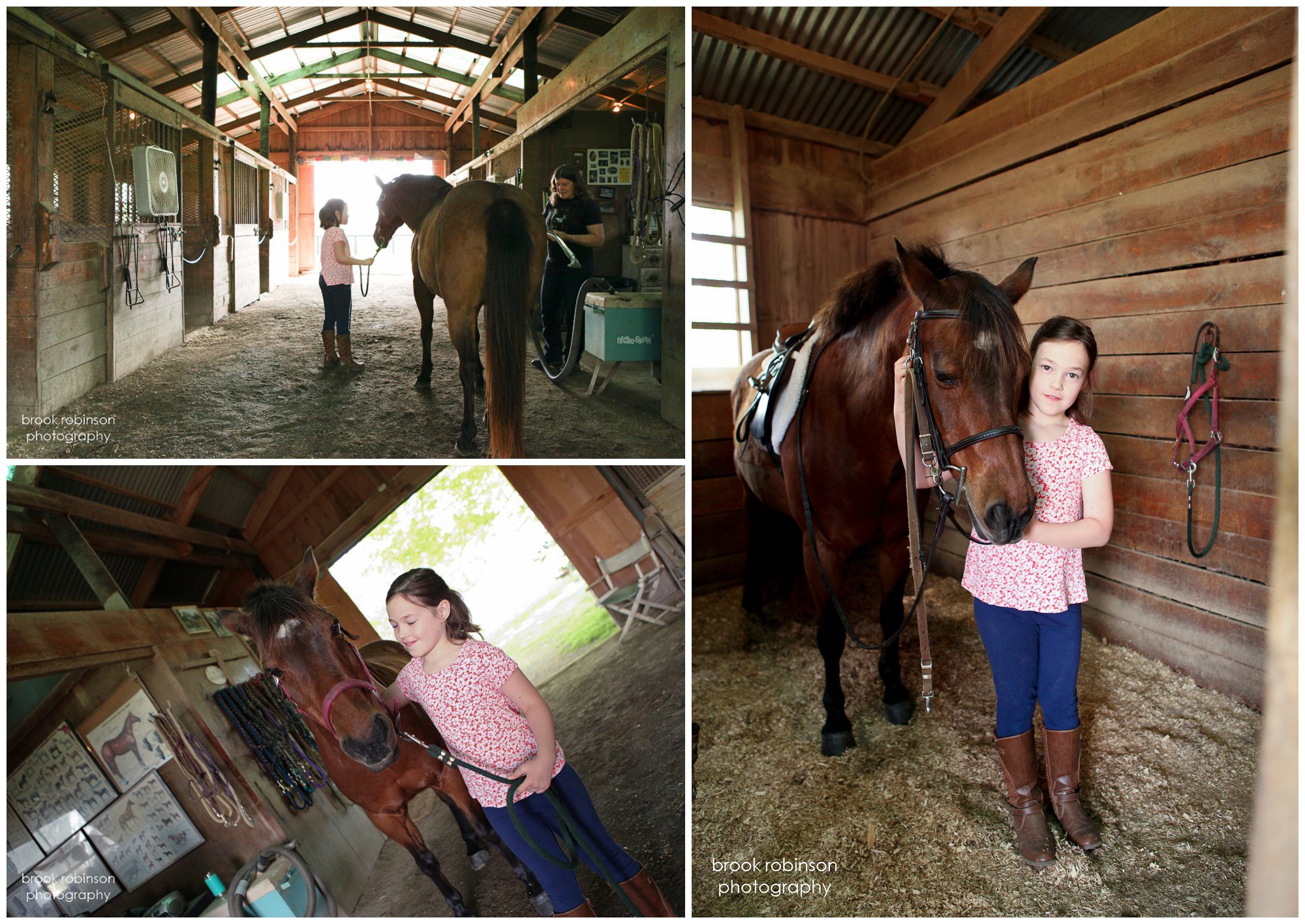 charlottesville horse photography portraits photographer horseback riding pictures lessons girls horses equine portrait pony academy alebmarle county central virginia