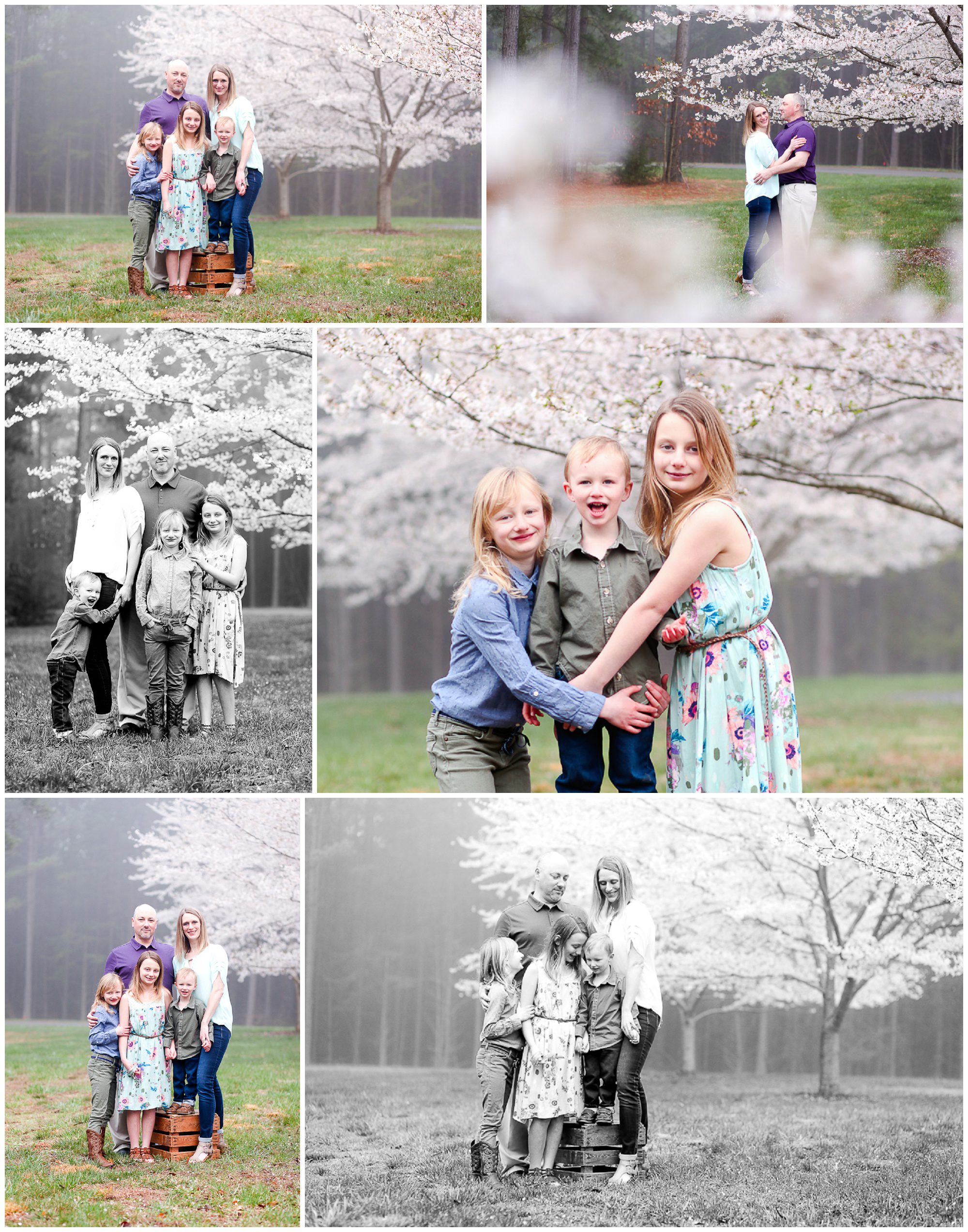 fluvanna charlottesville spring family children blossoms april easter fog mist siblings virginia photographer portrait pictures photography