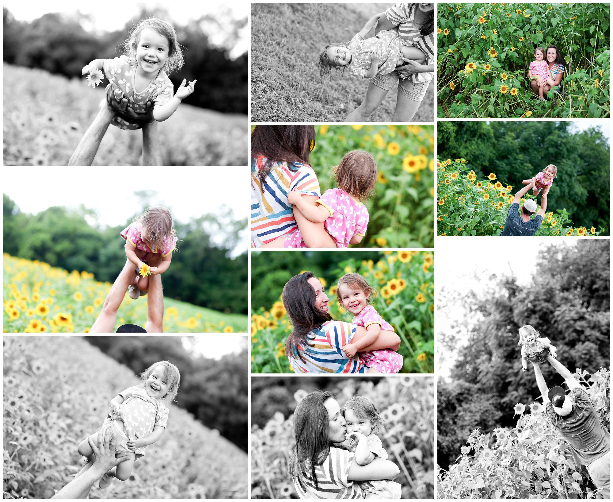 Summer Sunflower Portrait Photography Fluvanna Family Sisters Charlottesville Farm Photographer Virginia Flowers.