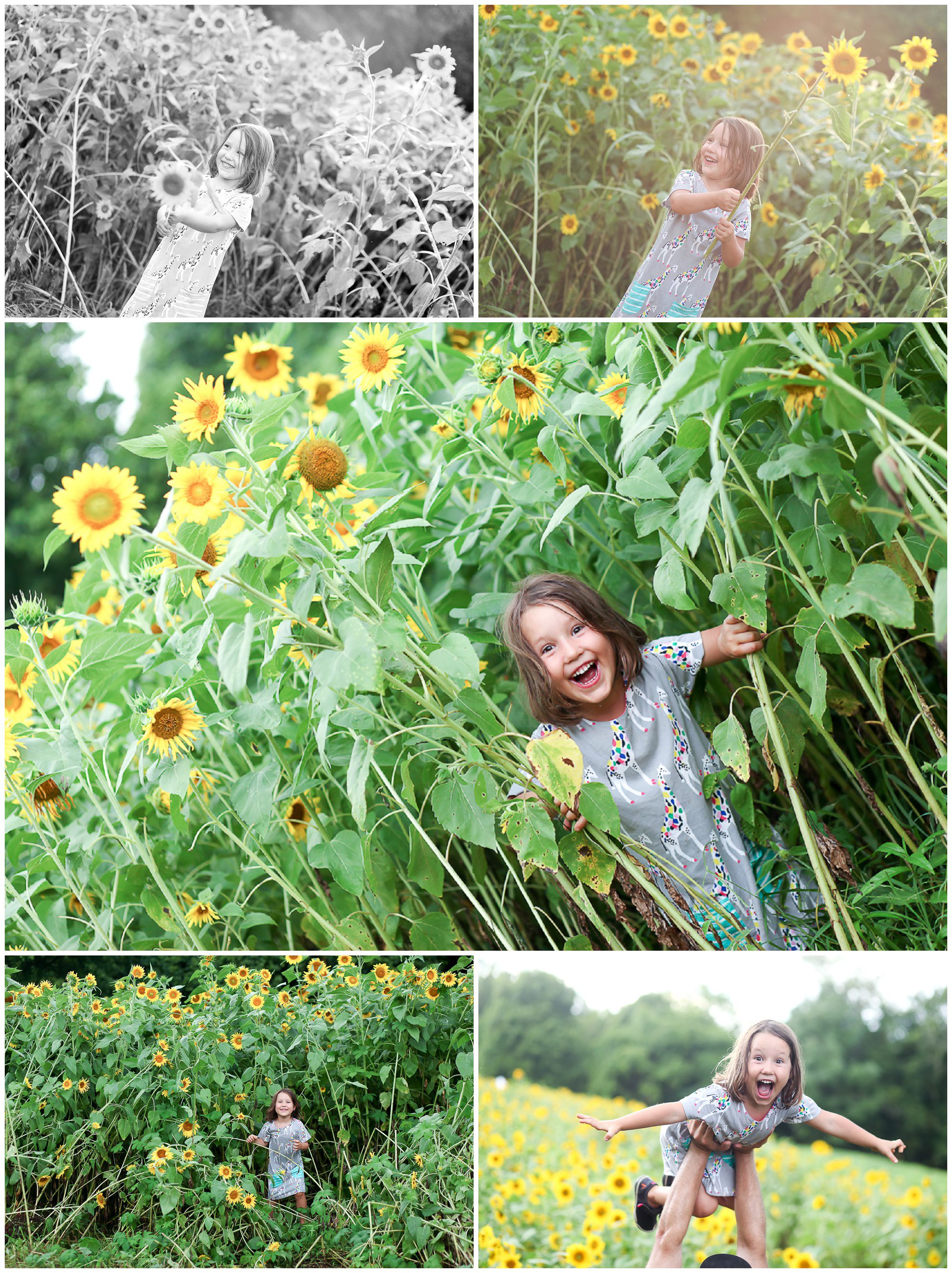 Summer Sunflower Portrait Photography Fluvanna Family Sisters Charlottesville Farm Photographer Virginia Flowers.