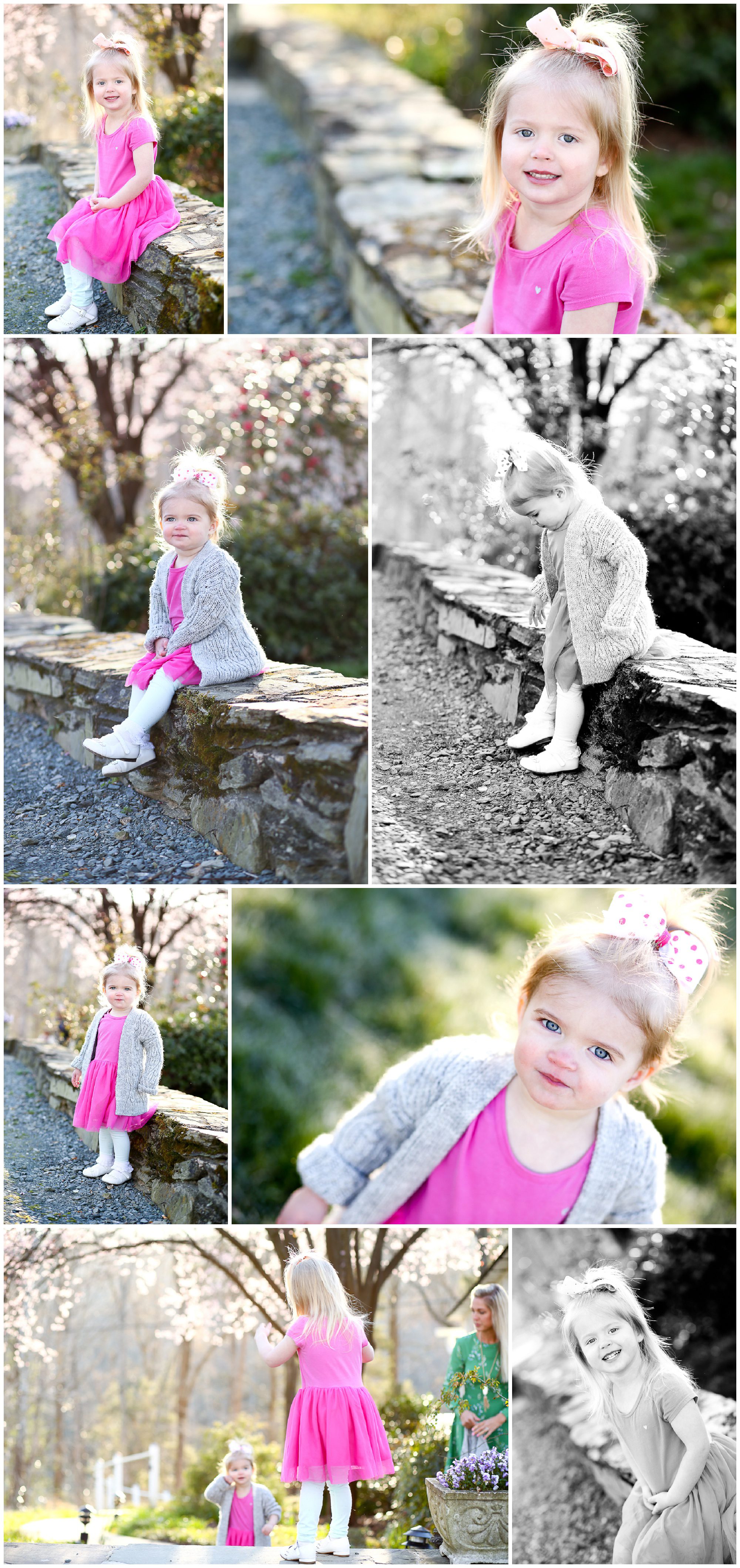 Waynesboro Spring Family Portraits Albemarle County Charlottesville photographer cville pictures clifton girls sisters daughters beautiful springtime pretty 