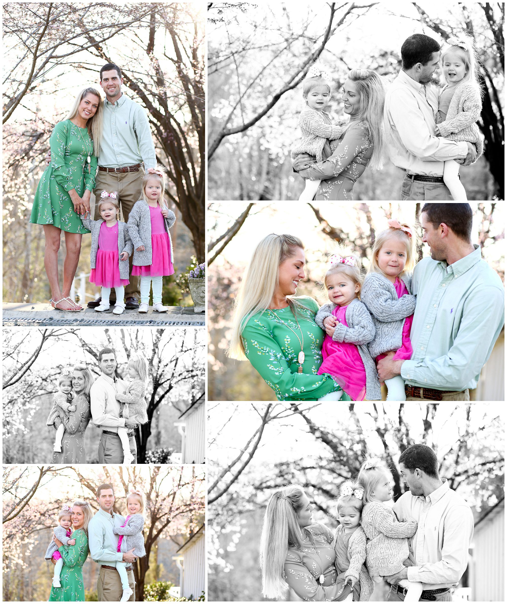 Waynesboro Spring Family Portraits Albemarle County Charlottesville photographer cville pictures clifton girls sisters daughters beautiful springtime pretty 