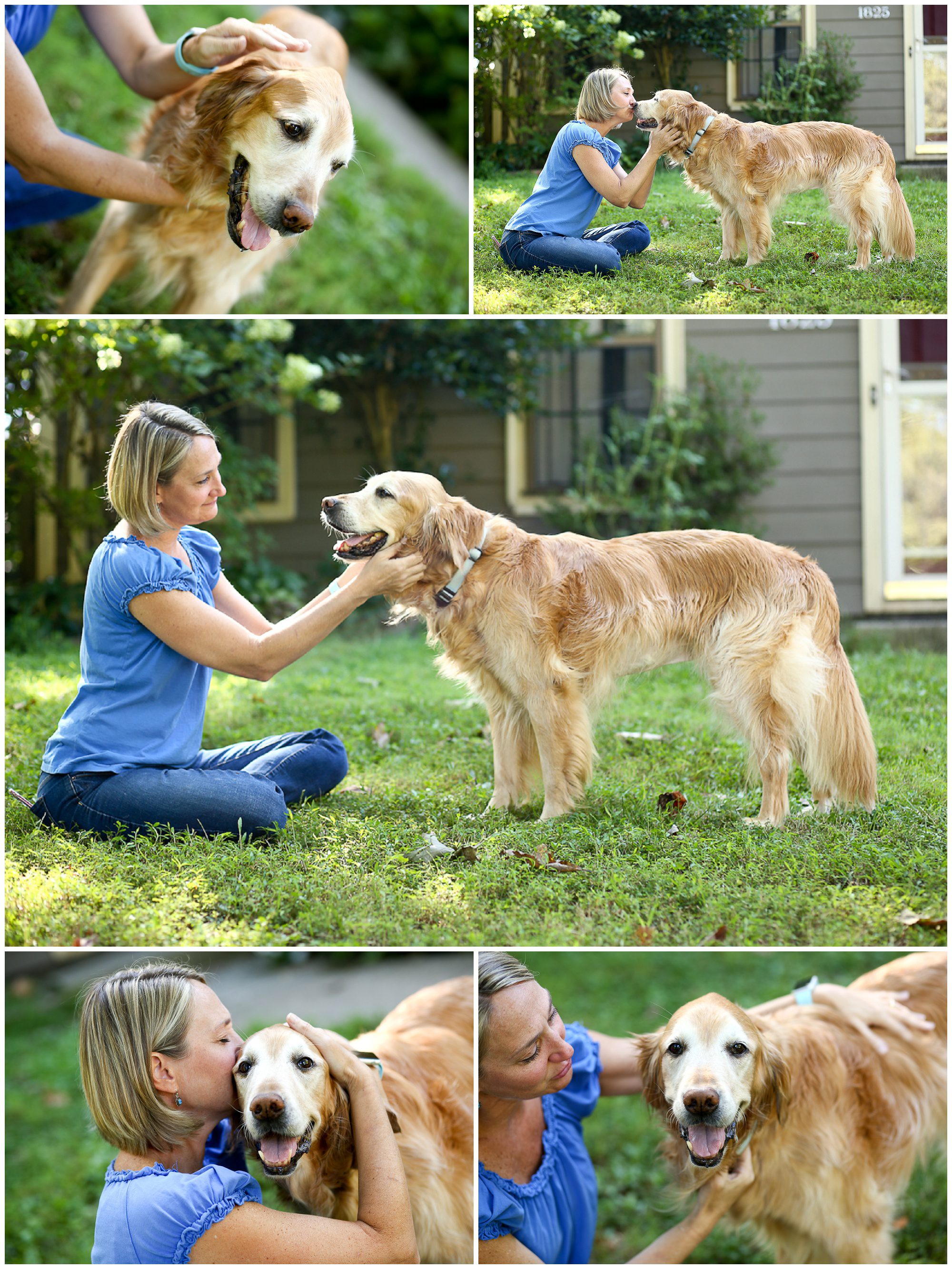 Pet Portraits of Beloved Aging Golden Retriever at Home Charlottesville senior dog old albemarle county virginia hollymead life love