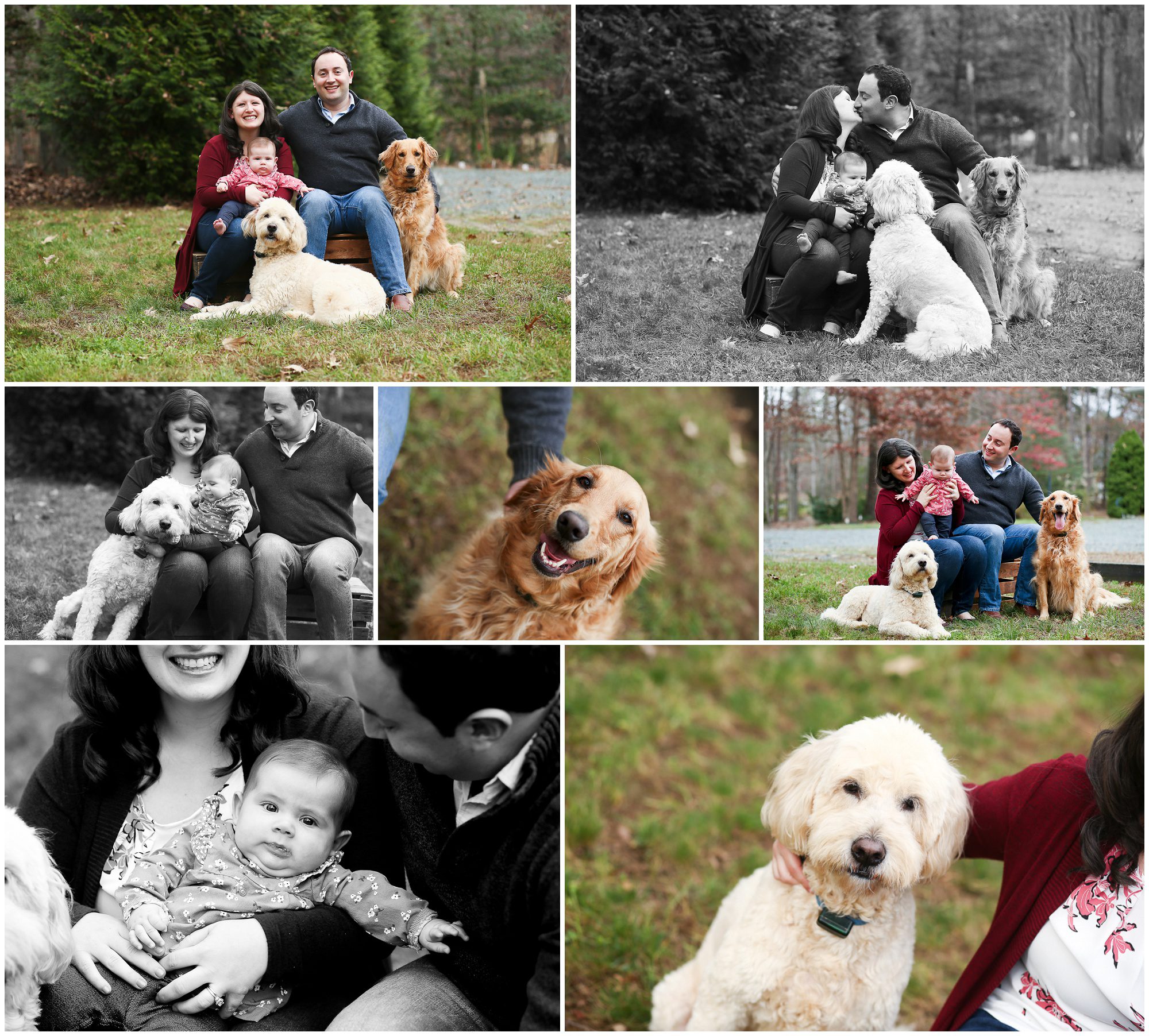 Fluvanna Family Fall Portraits at Home palmyra photographer photography photoshoot pictures golden goldendoodle first christmas charlottesville cville