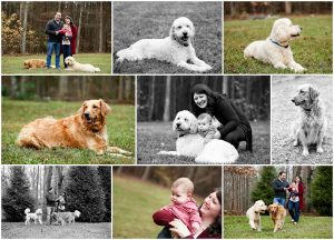 Fluvanna Family Fall Portraits at Home palmyra photographer photography photoshoot pictures golden goldendoodle first christmas charlottesville cville