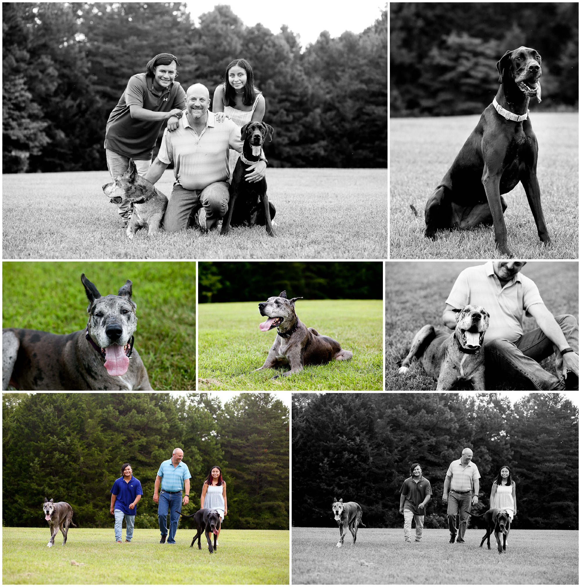 Lake Monticello Father Teens Summer Portraits with Dogs in Fluvanna Charlottesville Photographer Pictures Photoshoot Family Session Dad Gift