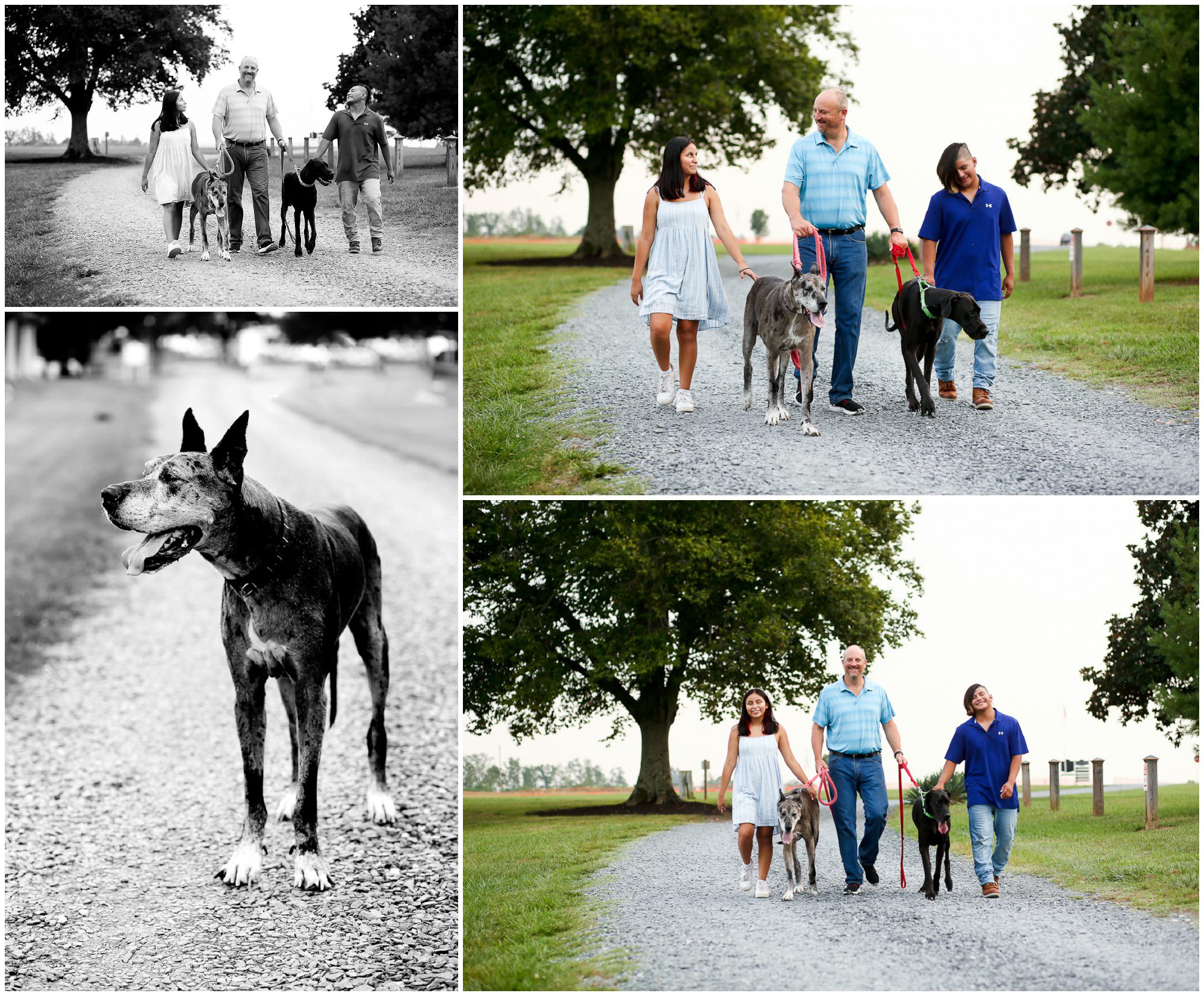 Lake Monticello Father Teens Summer Portraits with Dogs in Fluvanna Charlottesville Photographer Pictures Photoshoot Family Session Dad Gift