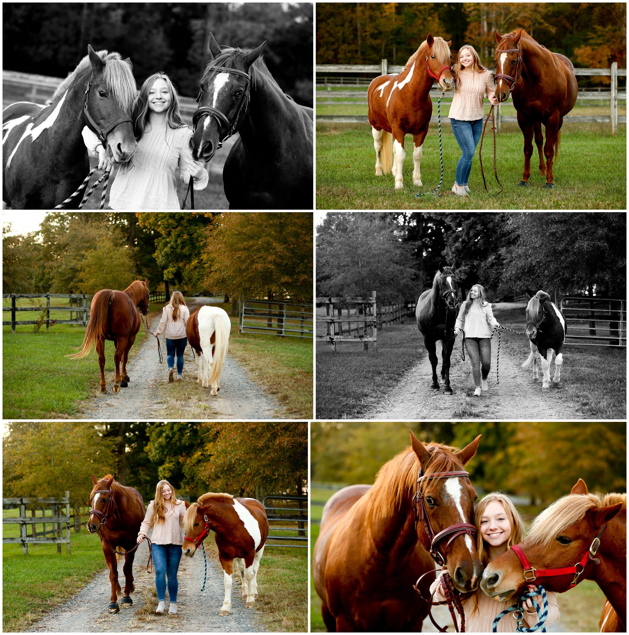 Fluvanna County High School Senior Portrait at Horse Barn Equine horses pictures fchs photographer charlottesville cville photography session class of 2022