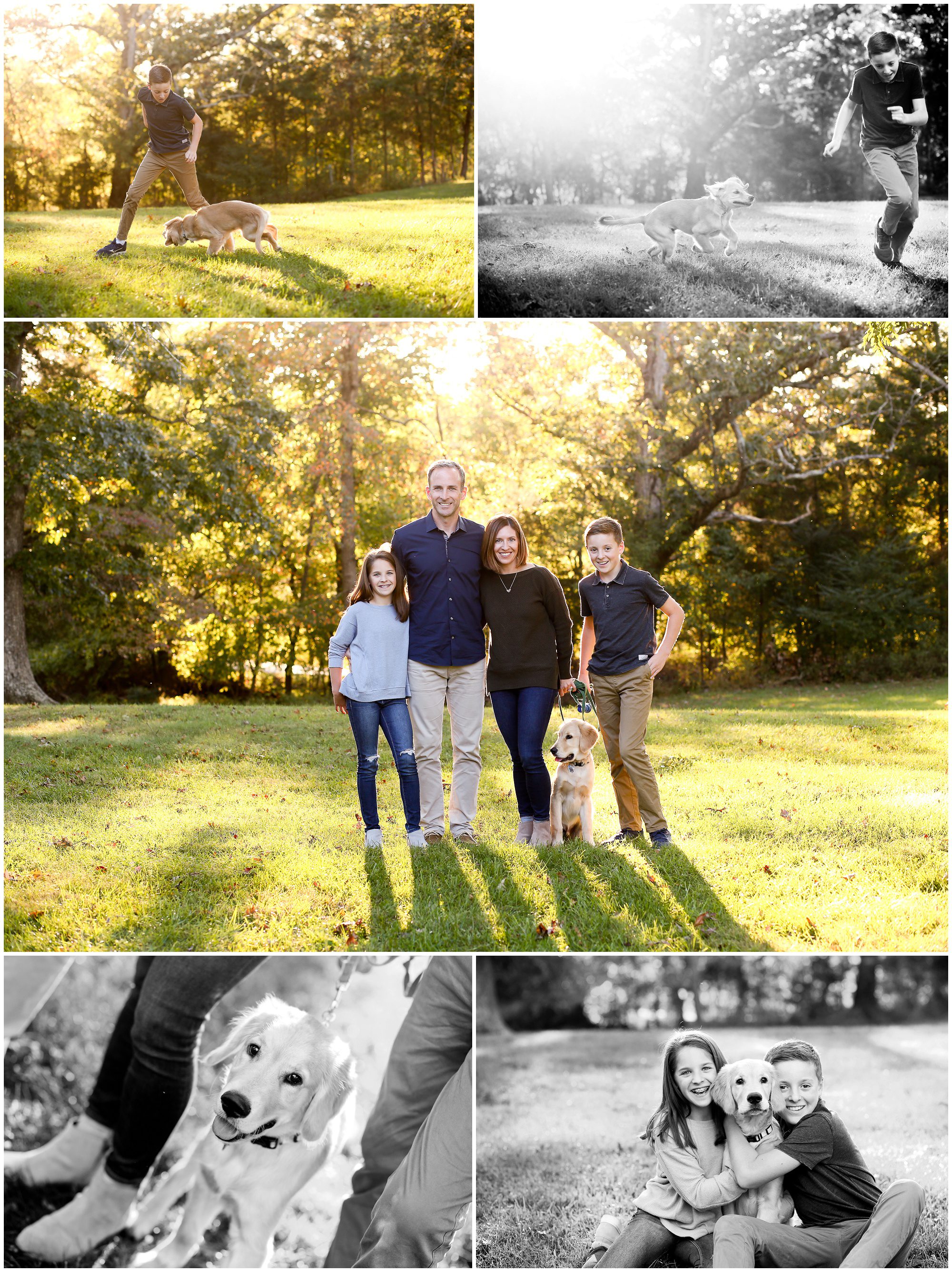 Charlottesville Family Fall Portraits with Golden Retriever Puppy Fluvanna cville photographer photography pictures virginia dog pet goldens pups