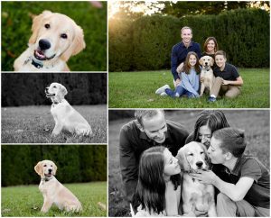 Charlottesville Family Fall Portraits with Golden Retriever Puppy Fluvanna cville photographer photography pictures virginia dog pet goldens pups